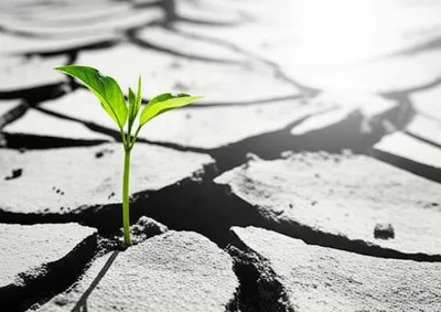 Illustration persevering - Image 1