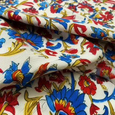 Hình ảnh minh họa calicoes - Ảnh 1