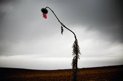 Illustration weak - Image 1