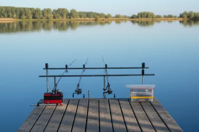 Illustration peg - Image 1