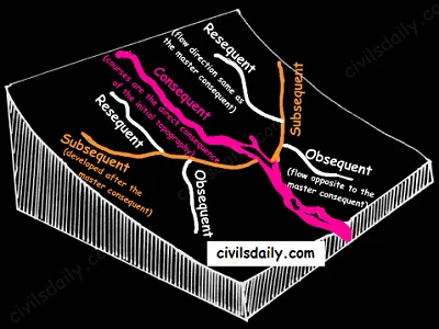 Illustration consequent - Image 3