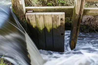 Hình ảnh minh họa paddles - Ảnh 1