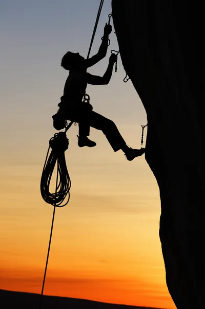 Illustration cleaned - Image 1