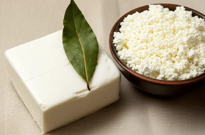 Illustration paneer - Image 1