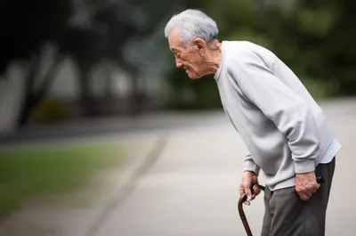 Illustration hump - Image 1