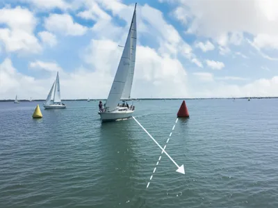 Illustration leg - Image 1