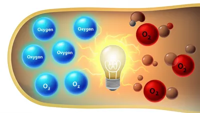 Illustration respiration - Image 1