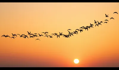 Illustration converges - Image 1