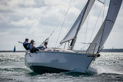 Illustration gibe - Image 1