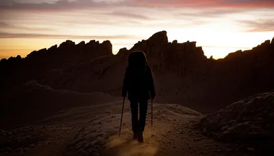 Illustration tramp - Image 1