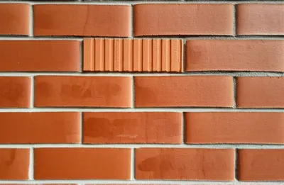 Illustration headers - Image 1