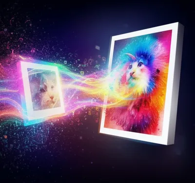 Illustration shops - Image 1