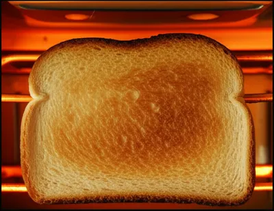 Illustration toasted - Image 1