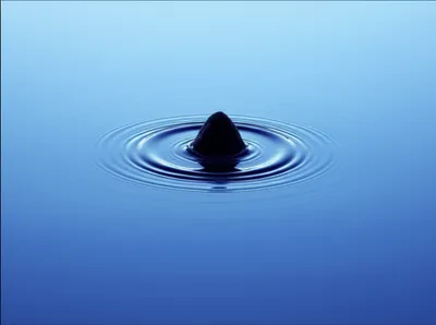 Illustration rile - Image 1