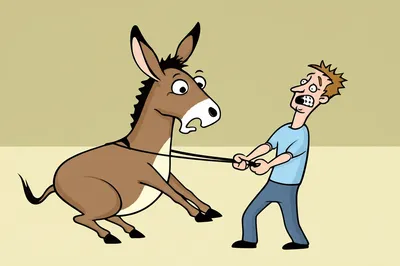 Illustration obstinate