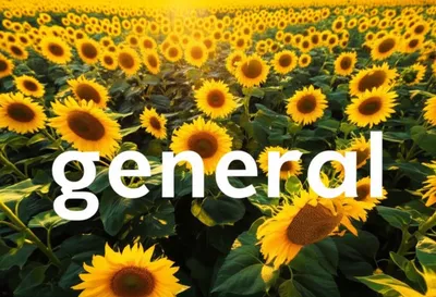 Illustration general - Image 1