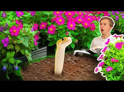 Illustration kicker - Image 1