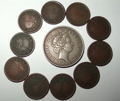 Illustration hogs - Image 1