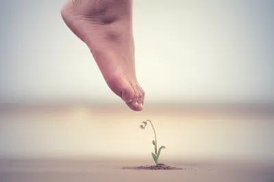 Illustration insulted - Image 1