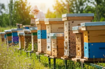 Illustration hives - Image 1