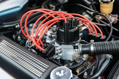 Illustration distributors - Image 1