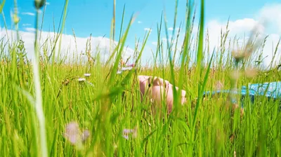 Illustration breathable