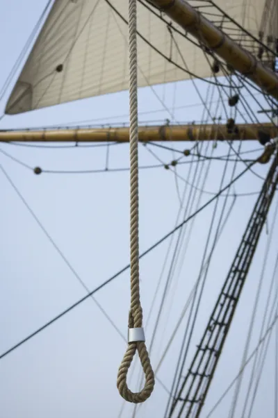 Illustration stirrup - Image 1