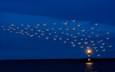 Illustration sending - Image 1