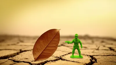 Illustration persistent organic pollutant - Image 1