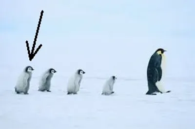 Illustration behind - Image 4