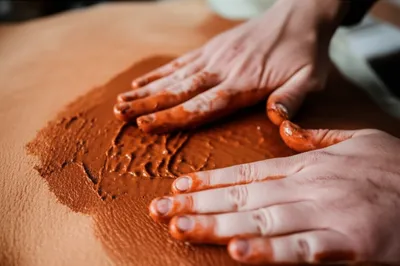 Illustration sumach - Image 1