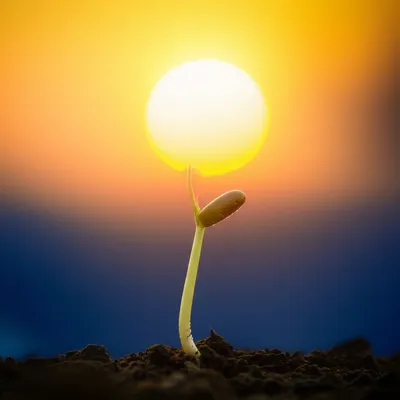 Illustration warmest - Image 1