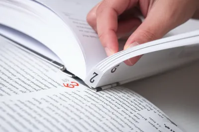 Illustration page - Image 1