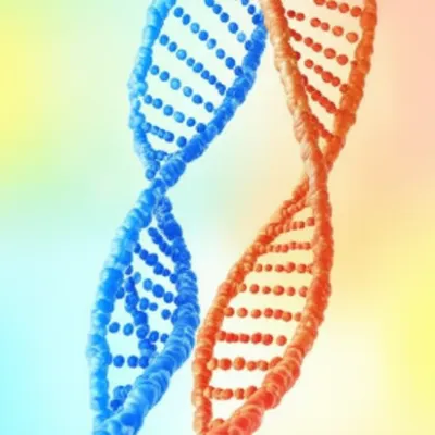 Illustration correlations