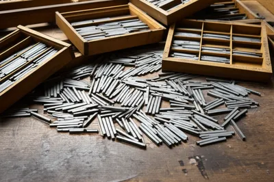 Illustration pies - Image 1