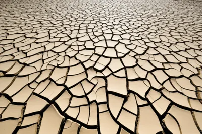 Illustration chine - Image 1