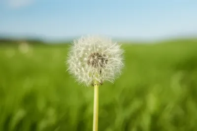 Illustration jess - Image 1