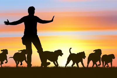 Illustration hallowing - Image 1