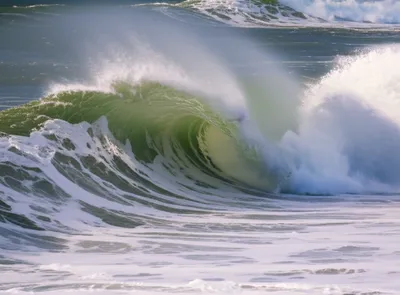 Illustration comber - Image 1