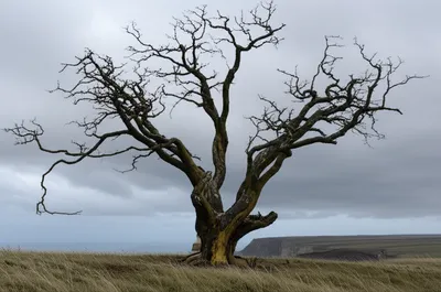 Illustration weathered