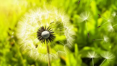 Illustration spends - Image 1