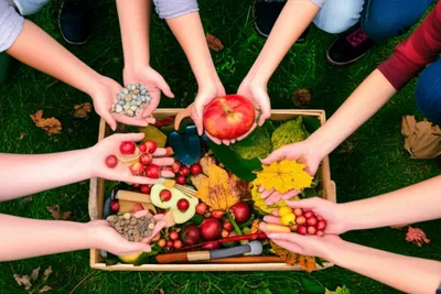 Illustration gather - Image 1