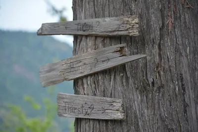 Illustration desires - Image 2