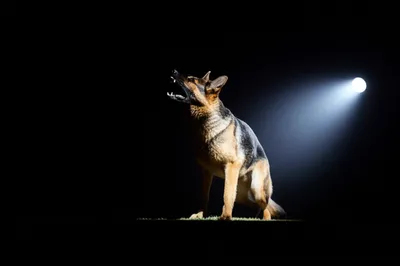 Illustration alerted