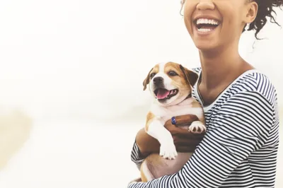 Illustration pleasure - Image 1