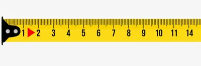 Illustration ticks - Image 1