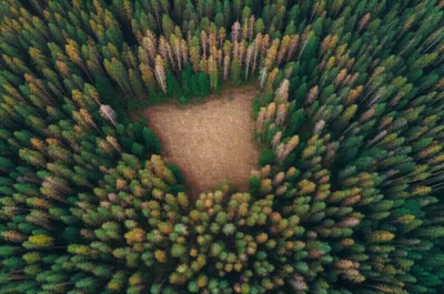 Illustration mark - Image 1