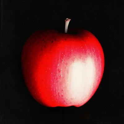 Illustration paled - Image 1