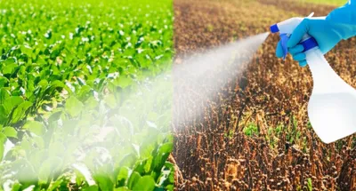 Illustration herbicide