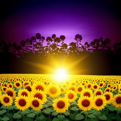 Illustration darken - Image 1